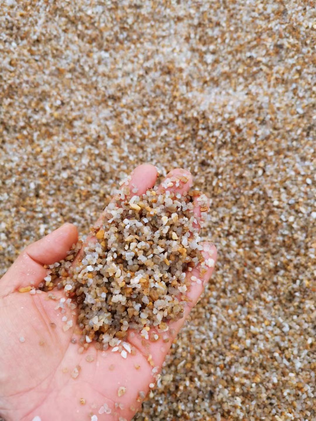 ����ɰ���Ұ���